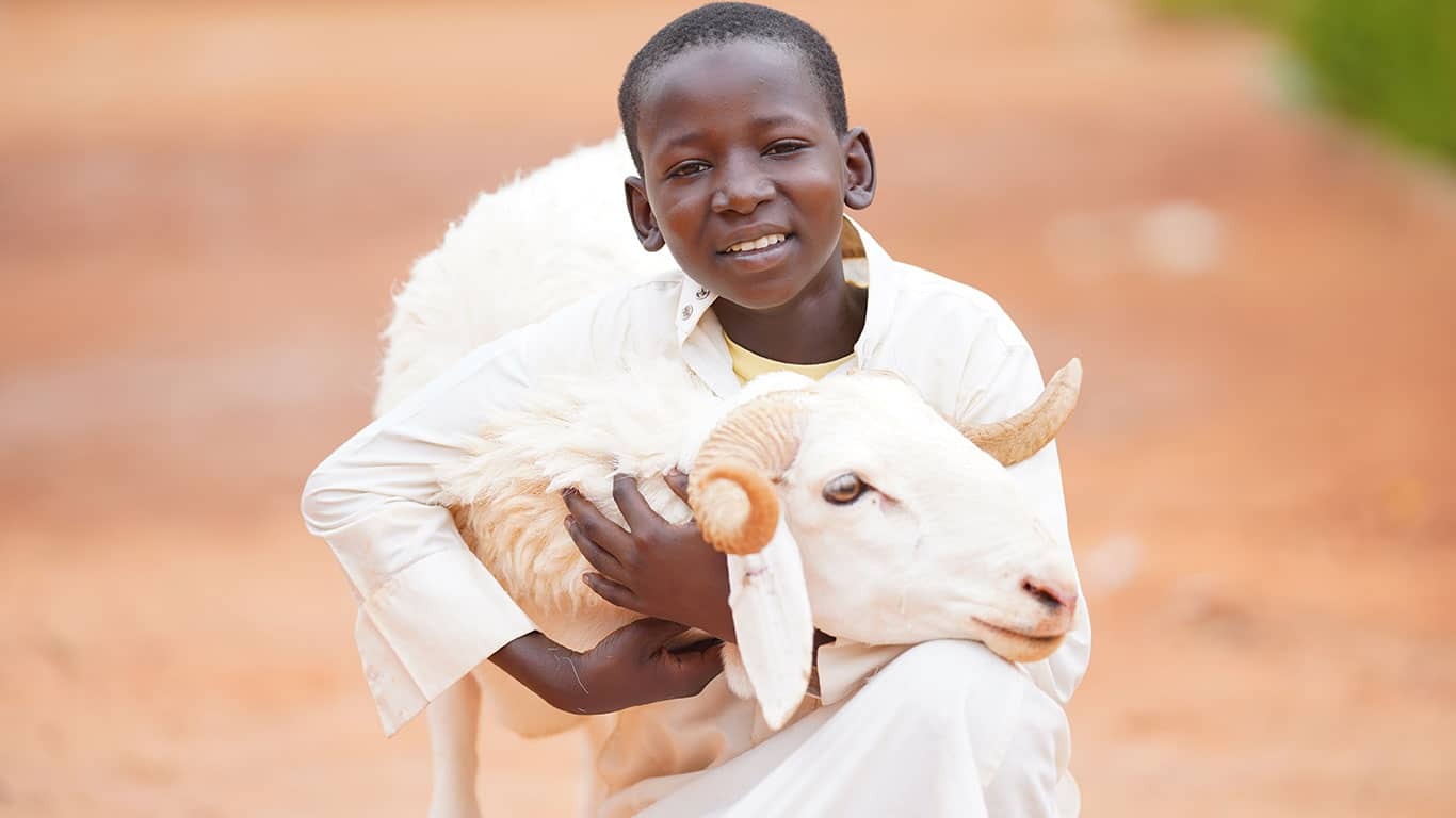 (Koç) Adak-Akika-Şükür-Sadaka Kurbanı